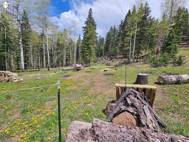 648 Westcliffe Dr, Rye, CO 81069 - view of yard with a forest view