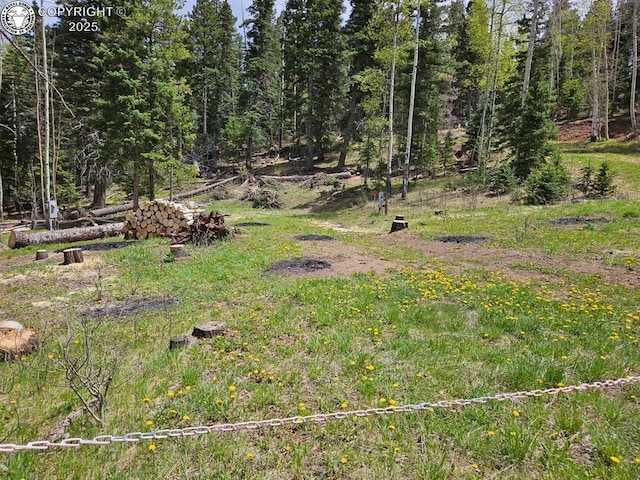 648 Westcliffe Dr, Rye, CO 81069 - photo 33
