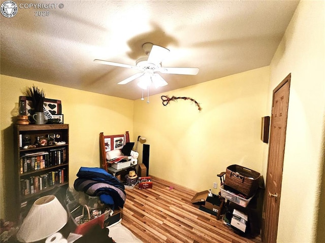 office featuring ceiling fan and wood finished floors