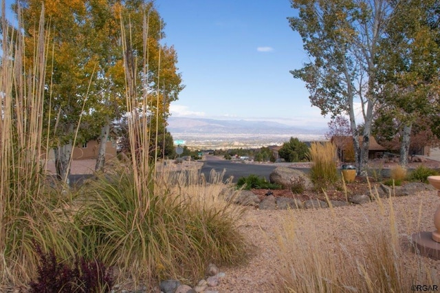 view of yard with a mountain view