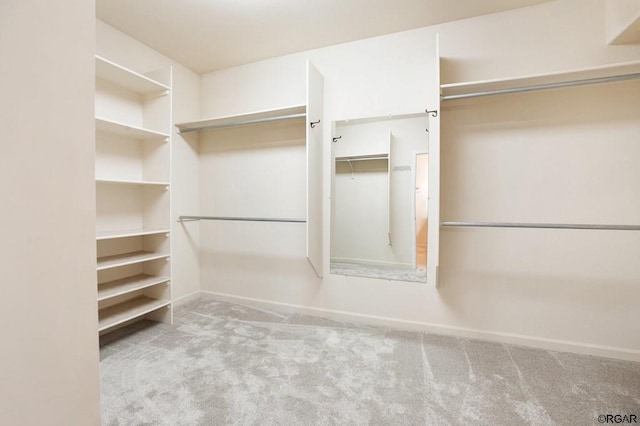 spacious closet featuring light colored carpet