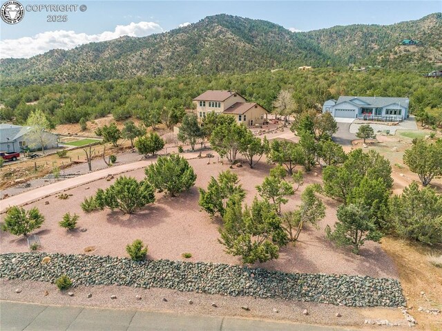 94 Eagle Dr, Canon City, CO 81212 - photo 41