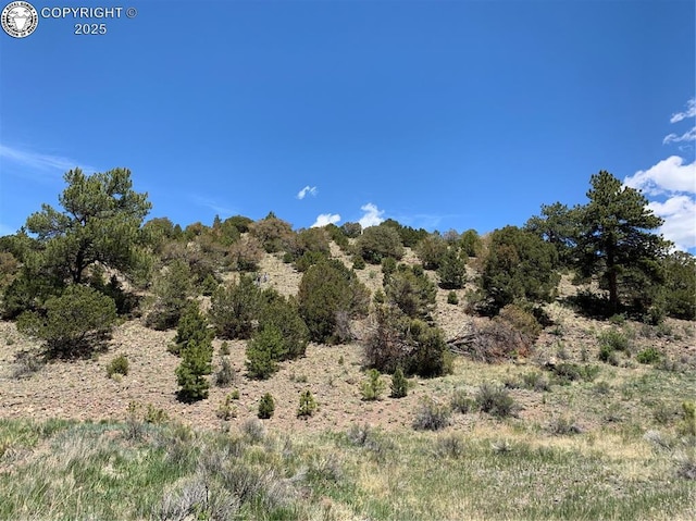 320 Crystal Falls Dr, Westcliffe, CO 81252