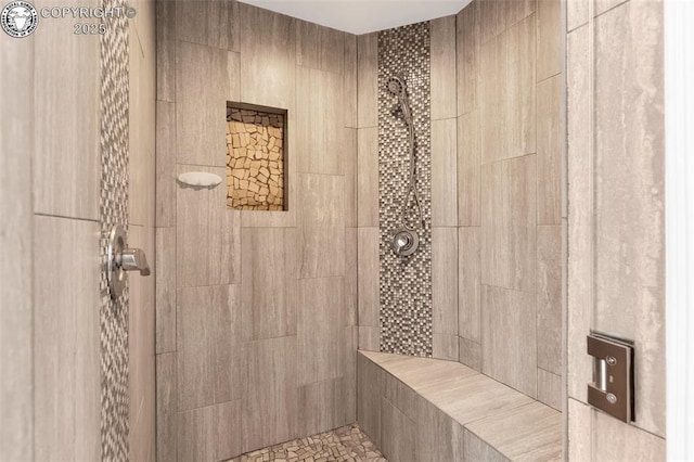 717 Tyrolean Way, Canon City, CO 81212 - bathroom featuring tiled shower