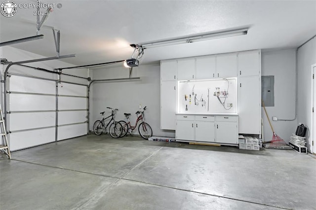 717 Tyrolean Way, Canon City, CO 81212 - garage featuring electric panel and a garage door opener