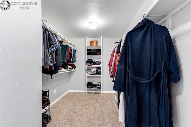 717 Tyrolean Way, Canon City, CO 81212 - walk in closet with carpet flooring