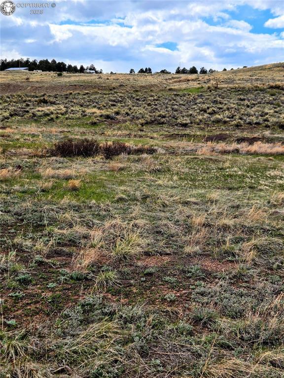 2240 County Road 341, Westcliffe, CO 81252 - photo 13