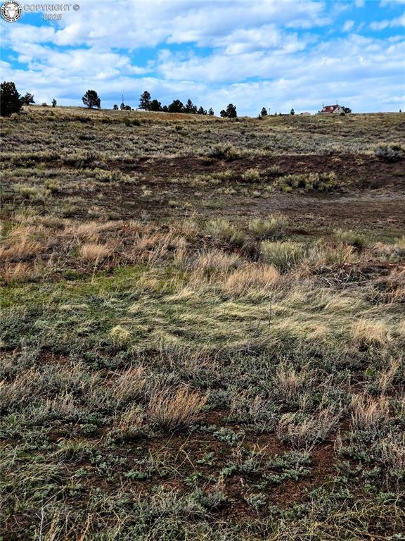 2240 County Road 341, Westcliffe, CO 81252 - photo 12