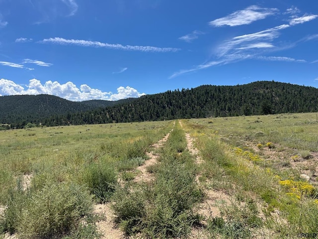 97 Pierce Gulch Rd, Cotopaxi CO, 81223 land for sale