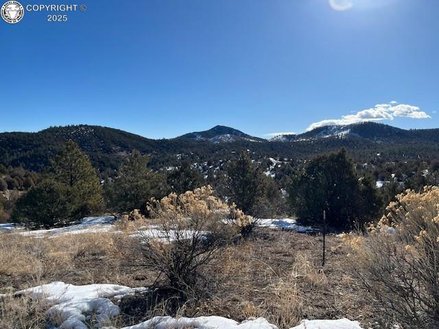 3586 Indian Wells Rd, Cotopaxi, CO 81223 - photo 1