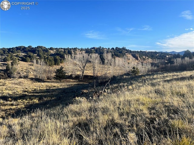 309 Choctaw Trl, Westcliffe, CO 81252