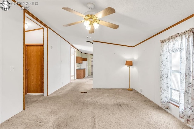 5101 County Road 123, Penrose, CO 81240 - photo 16