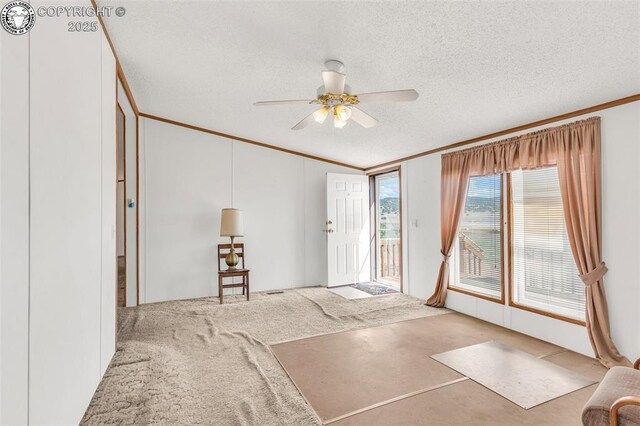 5101 County Road 123, Penrose, CO 81240 - photo 8