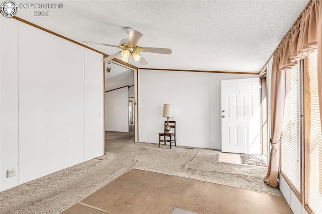 5101 County Road 123, Penrose, CO 81240 - photo 9