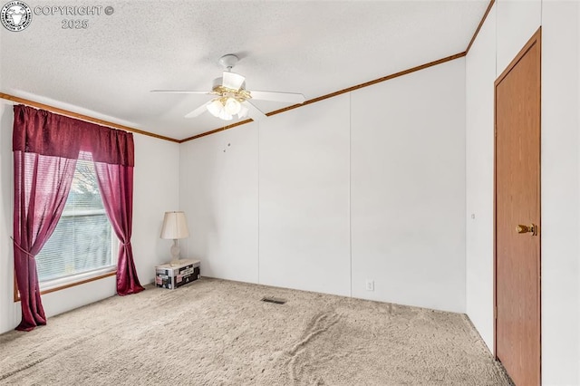 5101 County Road 123, Penrose, CO 81240 - photo 17