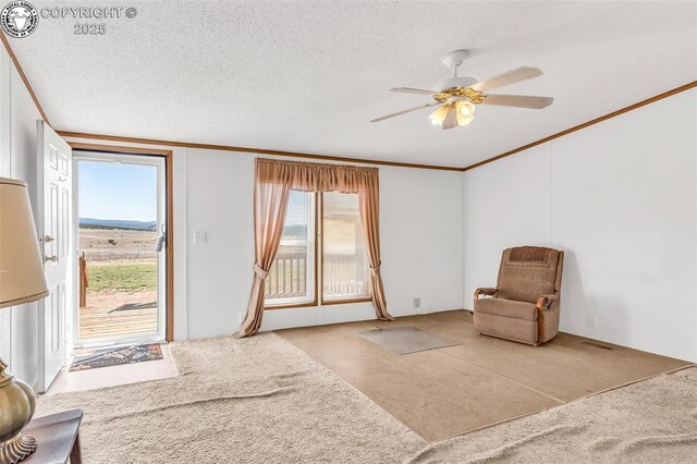 5101 County Road 123, Penrose, CO 81240 - photo 7
