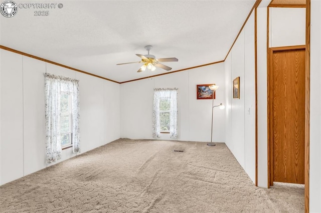 5101 County Road 123, Penrose, CO 81240 - photo 15