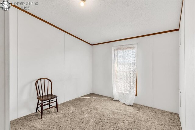 5101 County Road 123, Penrose, CO 81240 - photo 22