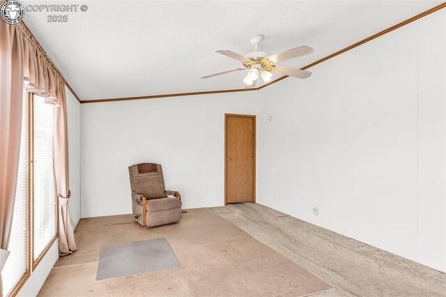 5101 County Road 123, Penrose, CO 81240 - photo 6