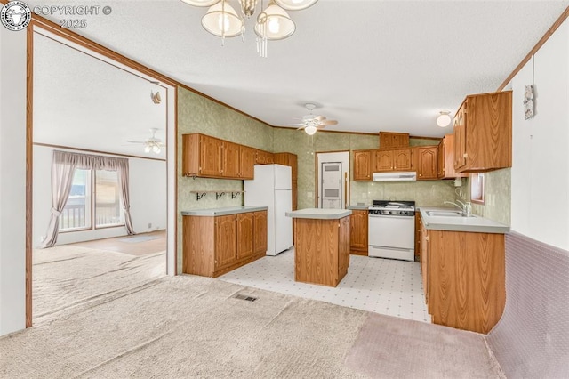 5101 County Road 123, Penrose, CO 81240 - photo 12