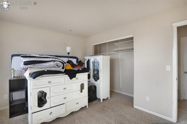 laundry room with light colored carpet