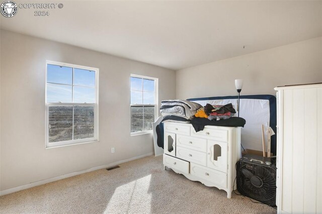 bedroom with light colored carpet