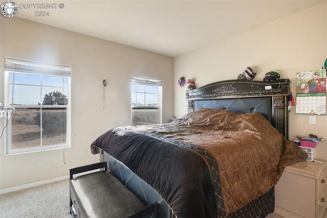 carpeted bedroom with multiple windows