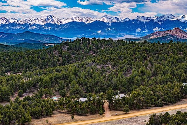 view of mountain feature