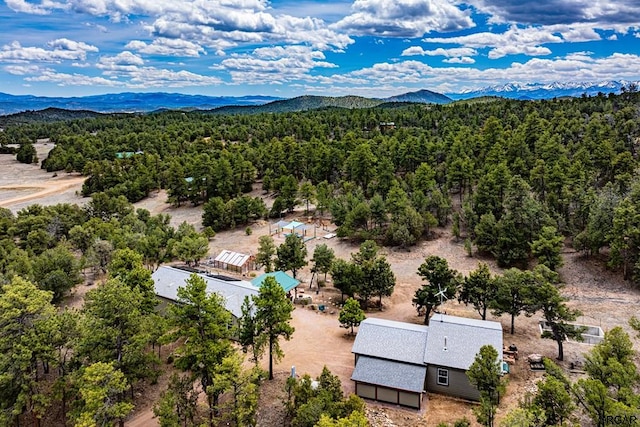 birds eye view of property featuring a mountain view