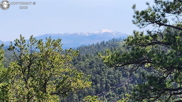 134 Knight Ln, Cotopaxi, CO 81223 - photo 11