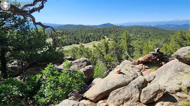 134 Knight Ln, Cotopaxi, CO 81223 - photo 2