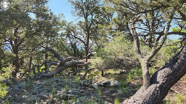 134 Knight Ln, Cotopaxi, CO 81223 - photo 22