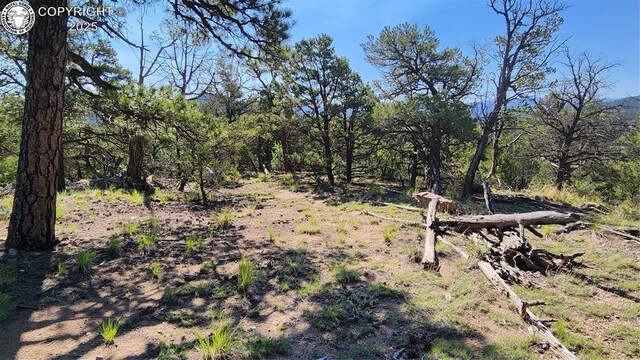 134 Knight Ln, Cotopaxi, CO 81223 - photo 13