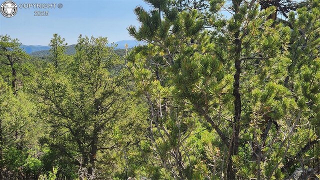 134 Knight Ln, Cotopaxi, CO 81223 - photo 16