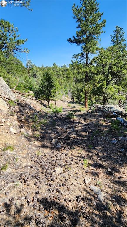 134 Knight Ln, Cotopaxi, CO 81223 - photo 28