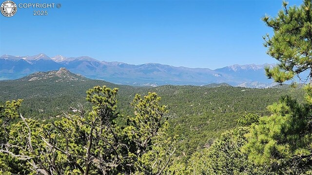 134 Knight Ln, Cotopaxi, CO 81223 - photo 20