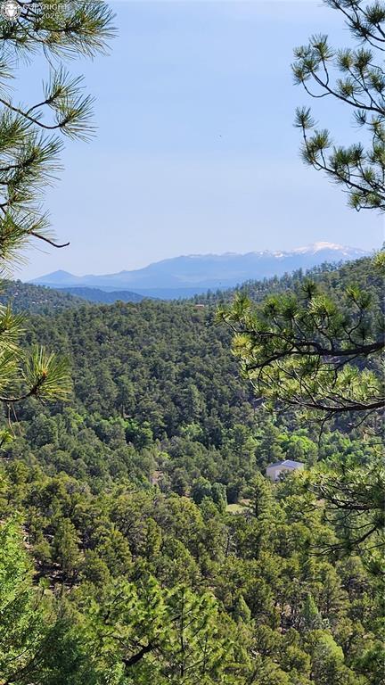 134 Knight Ln, Cotopaxi, CO 81223 - photo 27