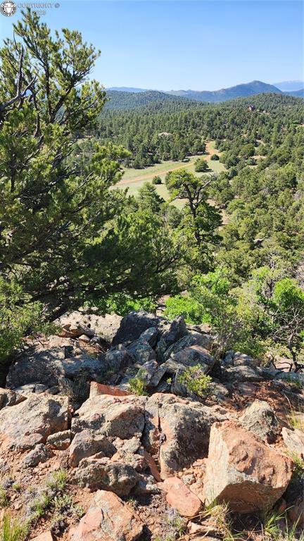 134 Knight Ln, Cotopaxi, CO 81223 - photo 21