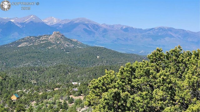 134 Knight Ln, Cotopaxi, CO 81223 - photo 9