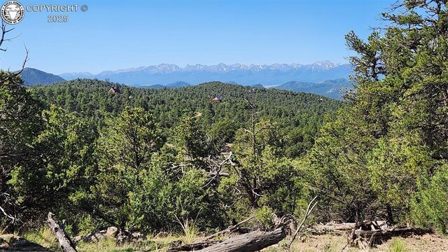 134 Knight Ln, Cotopaxi, CO 81223 - photo 25