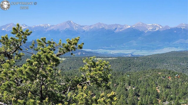 134 Knight Ln, Cotopaxi, CO 81223 - photo 1