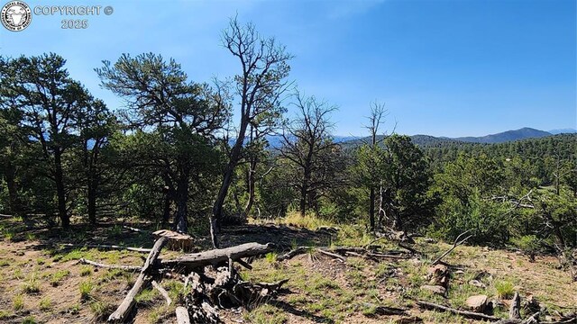134 Knight Ln, Cotopaxi, CO 81223 - photo 4