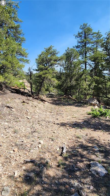134 Knight Ln, Cotopaxi, CO 81223 - photo 24