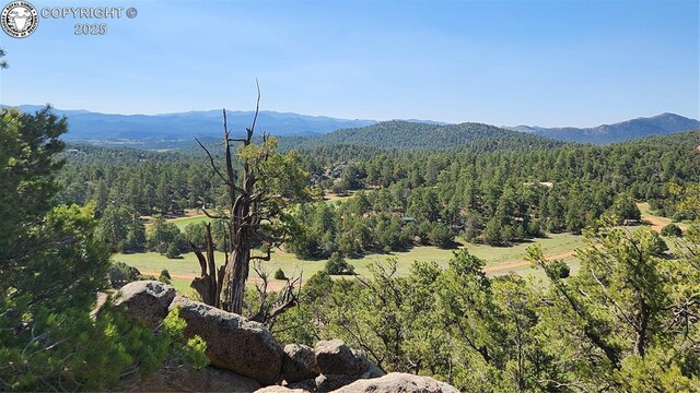 134 Knight Ln, Cotopaxi, CO 81223 - photo 14