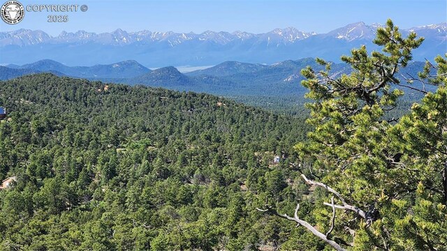 134 Knight Ln, Cotopaxi, CO 81223 - photo 6