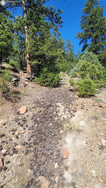 134 Knight Ln, Cotopaxi, CO 81223 - photo 23