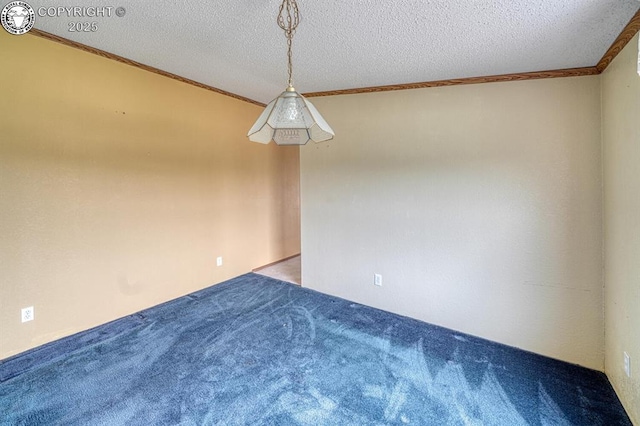 3063 Autumn Creek Dr, Canon City, CO 81212 - photo 5