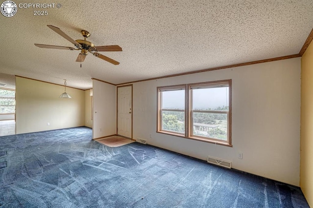 3063 Autumn Creek Dr, Canon City, CO 81212 - photo 4