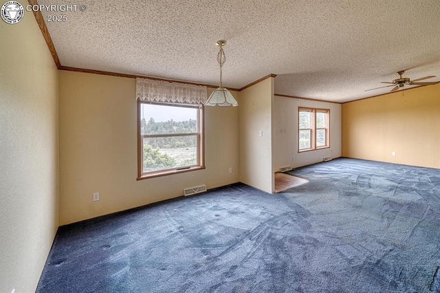 3063 Autumn Creek Dr, Canon City, CO 81212 - photo 6