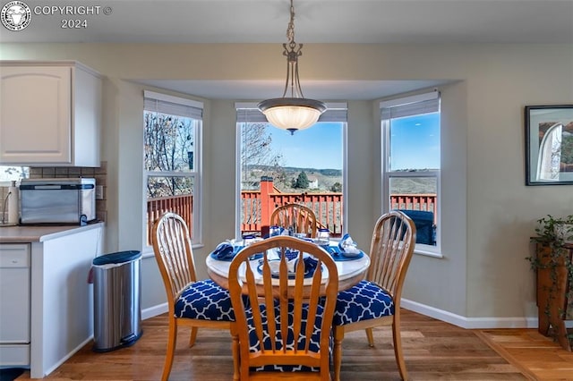 dining space with hardwood / wood-style floors